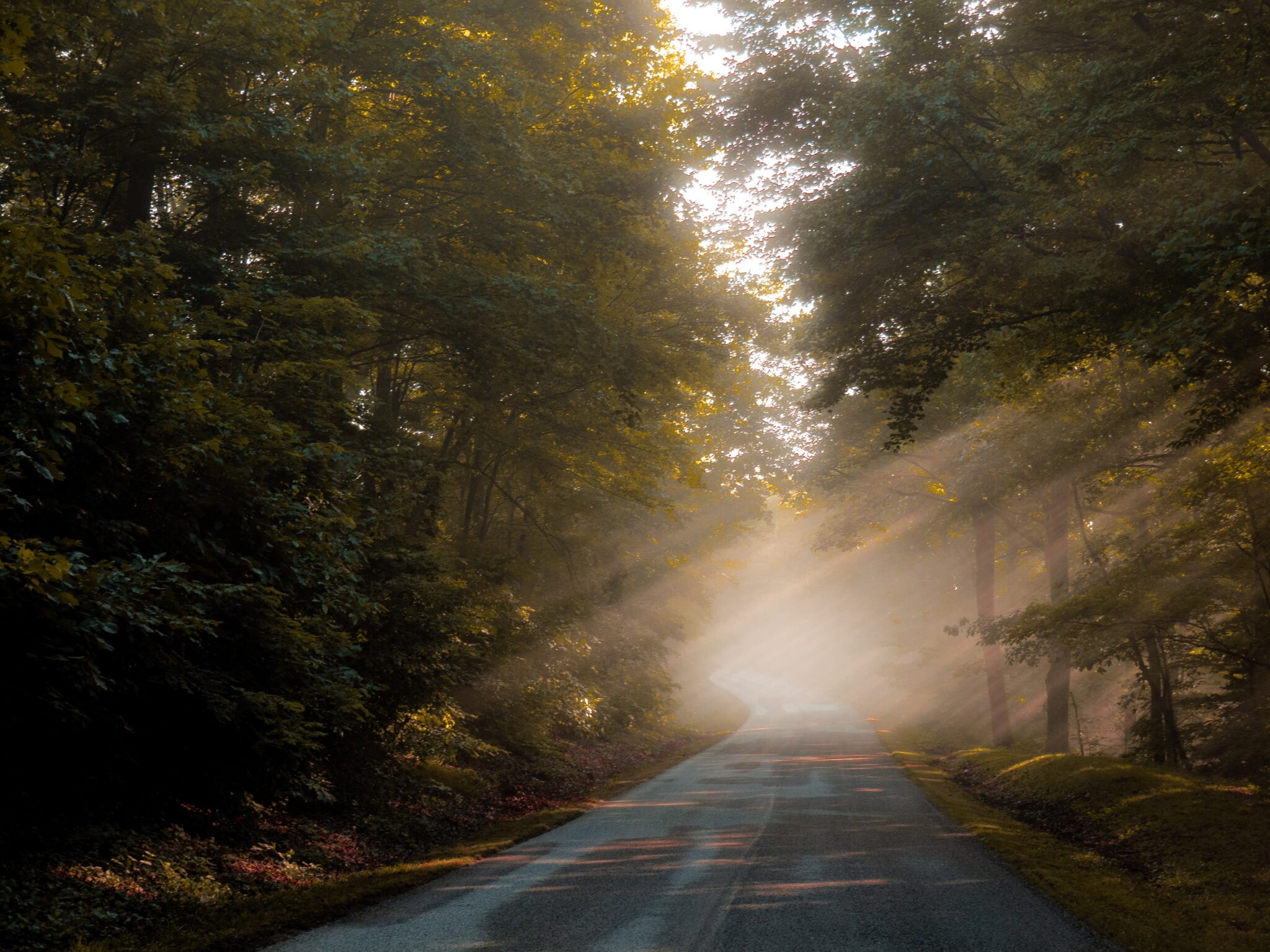 Open road