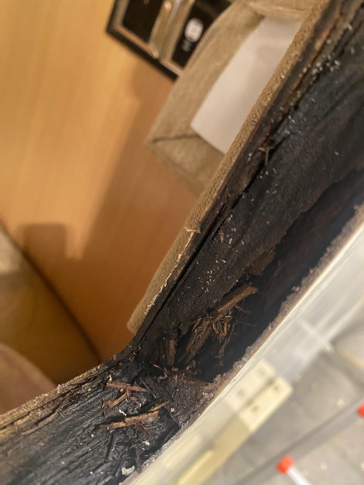 Window Removal and Reseal - Image 2