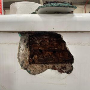 Motorhome Damp Repair