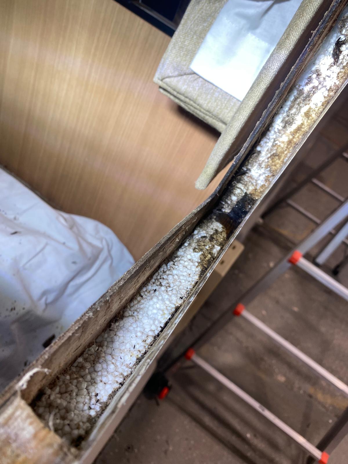 Window Removal and Reseal - Image 3